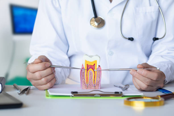 Best Pediatric Emergency Dentist in Salt Creek Commons, IN
